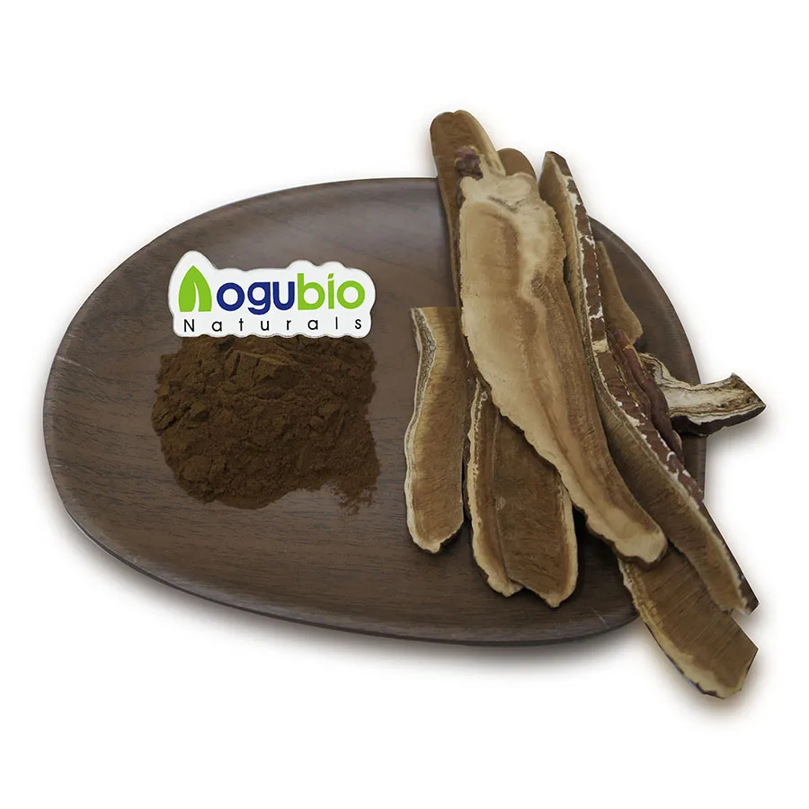 Заводская цена органический экстракт Ganoderma Lucidum грибов Рейши порошок полисахаридов