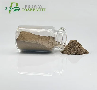 Недорогая оптовая продажа, пилинг из спикул, порошок для шелушения водорослей, Натуральный Порошок для удаления водорослей, порошок для очистки водорослей, 10 пар