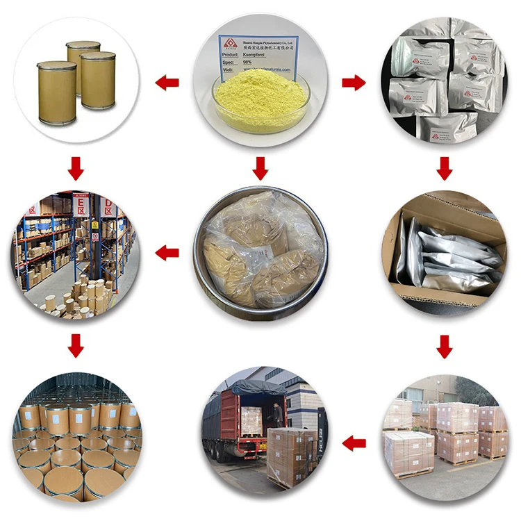 Поставка Hongda пищевой порошок Lactobacillus Plantarum пробиотики