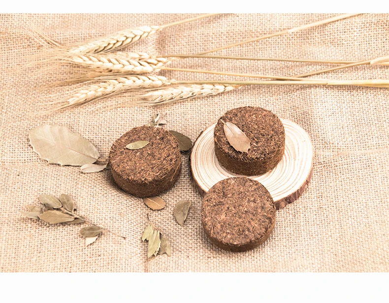 Good Quality Coco Coir Coconut Soil Block Peat Pot Nutrition