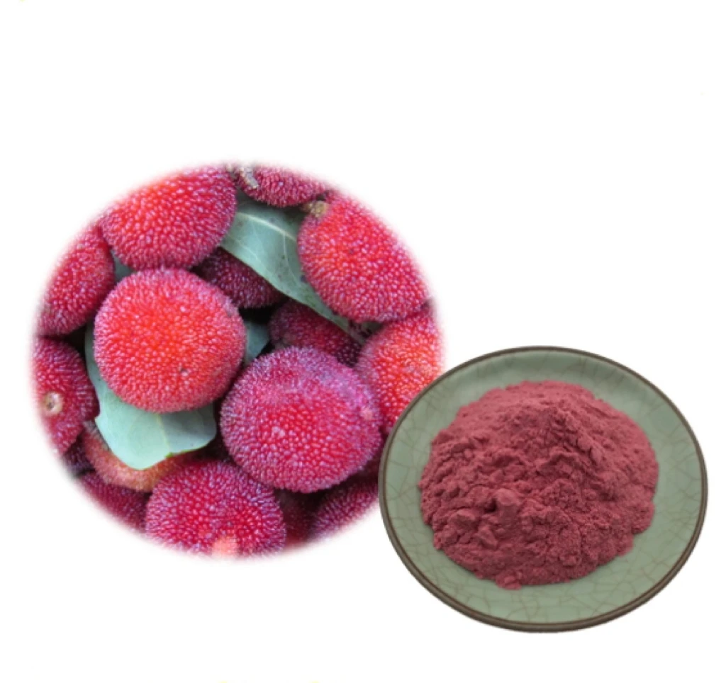 Factory supply 100% Natural Food Grade Red Bayberry Powder Waxberry Fruit Juice Powder