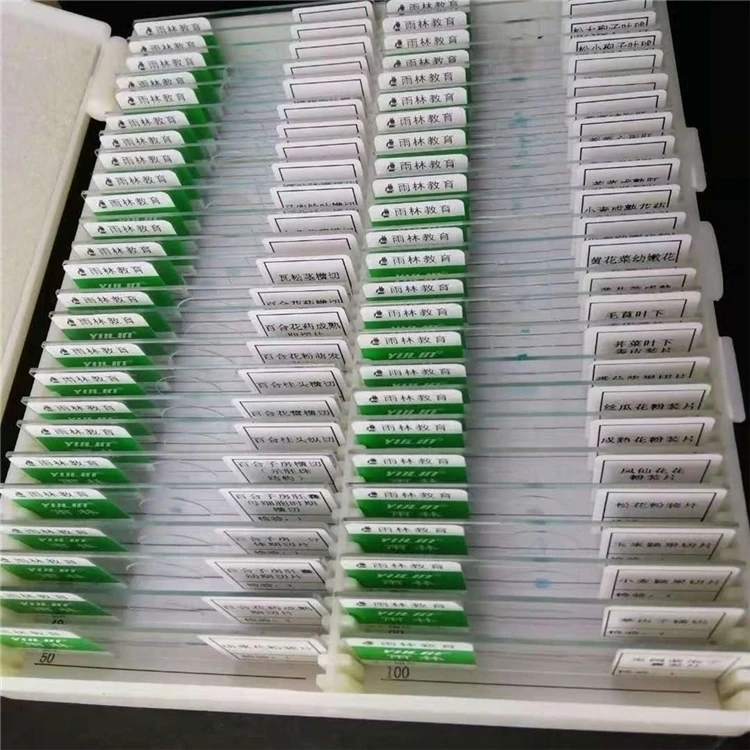 Laboratory Biology Preparation microscope slides are available in middle school laboratories with 50 slide sets