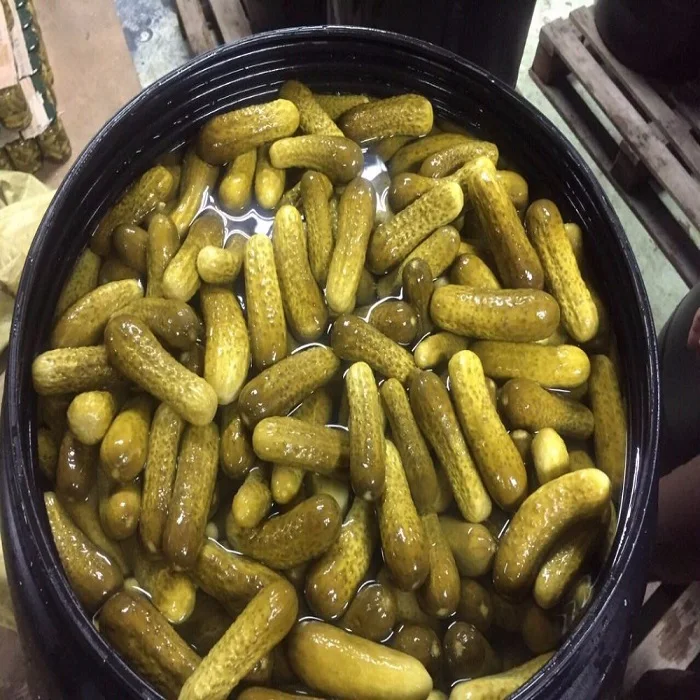 Маринованный детский огурец из Вьетнама приправленный солью и укропом маринованный корнишон в банке или барабанные лодки с огурцами укропа/Ms. Lima