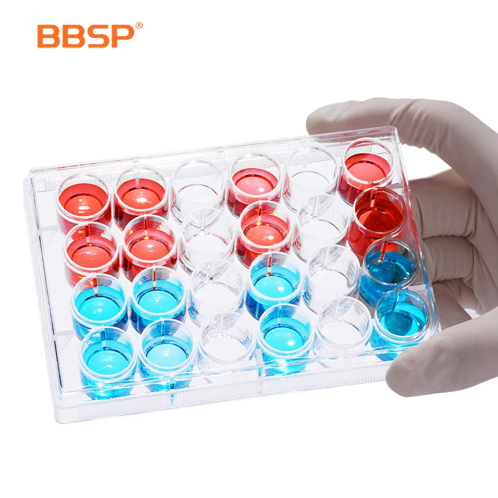 BBSP Cytology consumable High transparency 100% PP cell culture plate other lab supplies for Cytology laboratory