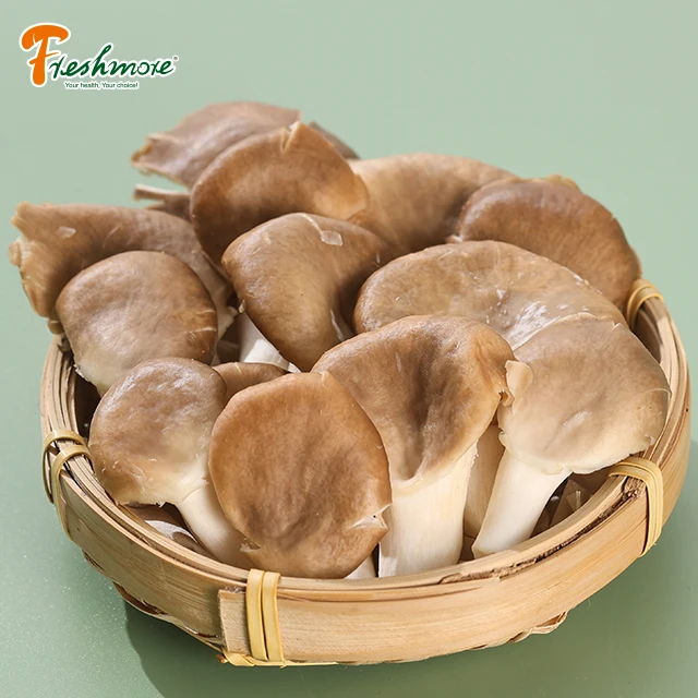 buy fresh brown oyster mushrooms for sale with great price