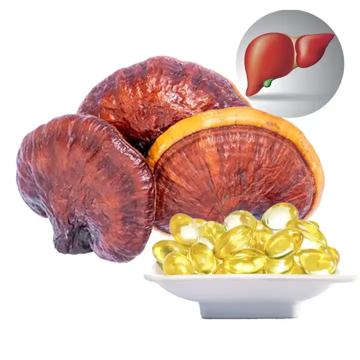 Травяное масло Ganoderma Lucidum сломанное споровое спор грибов рейши 30% 15% тритерпен