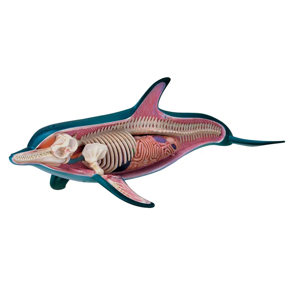 Образовательная фигурка 4D Master STEM Biology