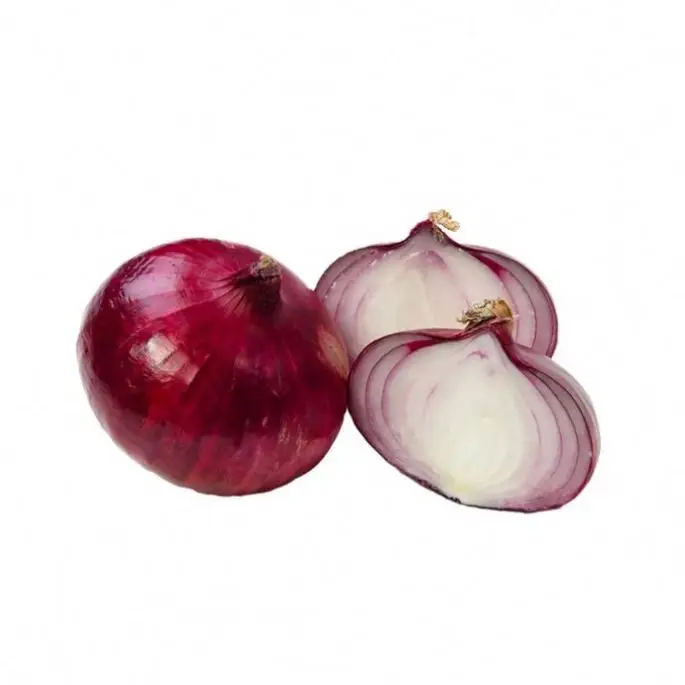 Fresh red/yellow onions in bulk for sale suppliers from Shandong