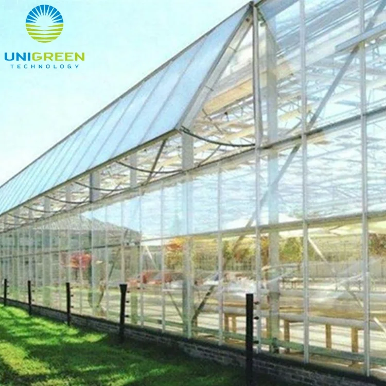 Agricultural Cultivation Hot Dip Galvanized Steel Frame Growing Multi-span Glass Greenhouse Tunnel Mushroom Greenhouse