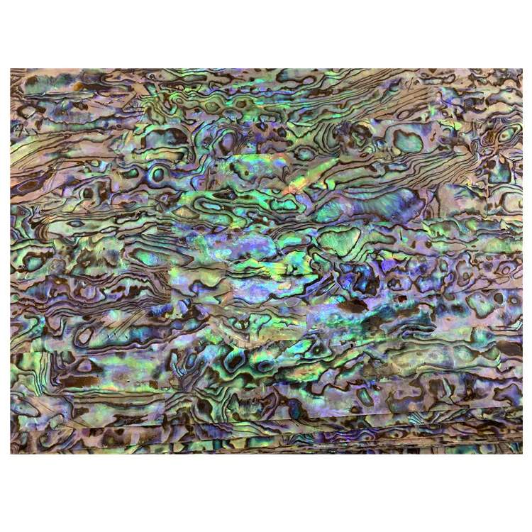 Special price mexico abalone shells decorative paper wholesale