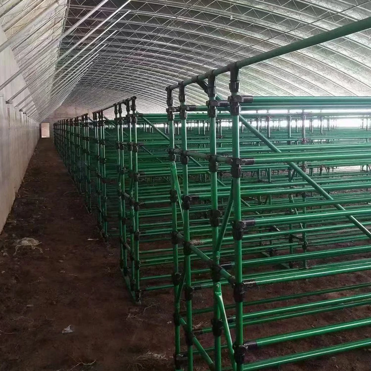 mushroom shelf/pleurotus geesteranus rack/black fungus frame for greenhouse structure