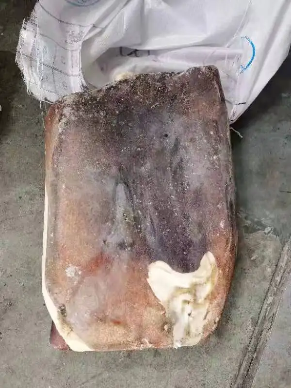 Frozen Giant Squid Fillet Skin