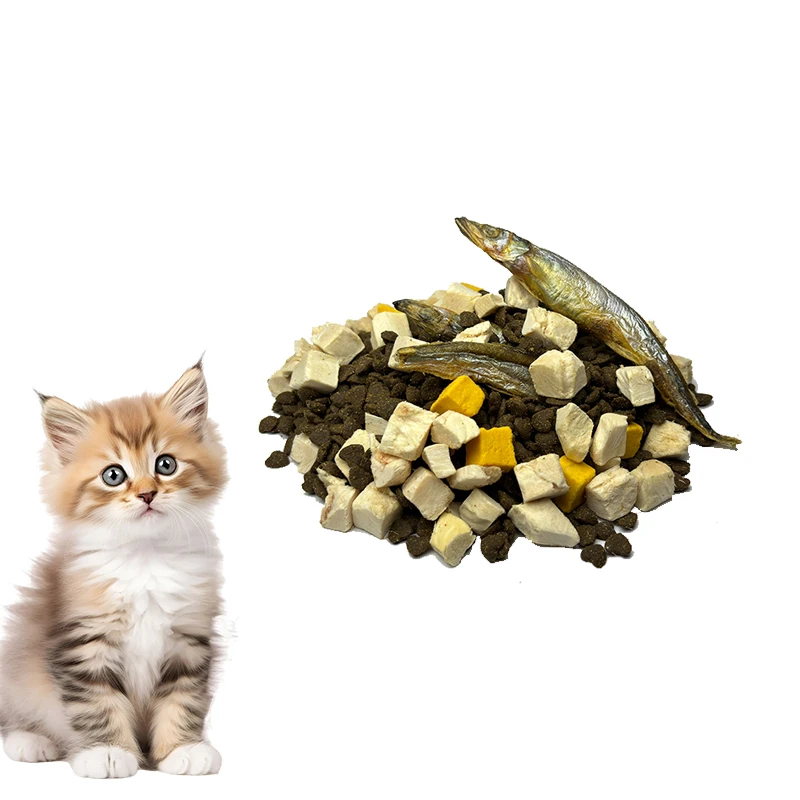 Wholesale Bulk Pet Food Suppliers High Protein Low Fat Pet Baked Food Dry Food for Cat