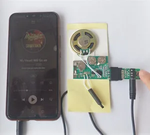 High quality light activated blank sound module recording the audio by computer or phone for DIY music packing gift box or toys