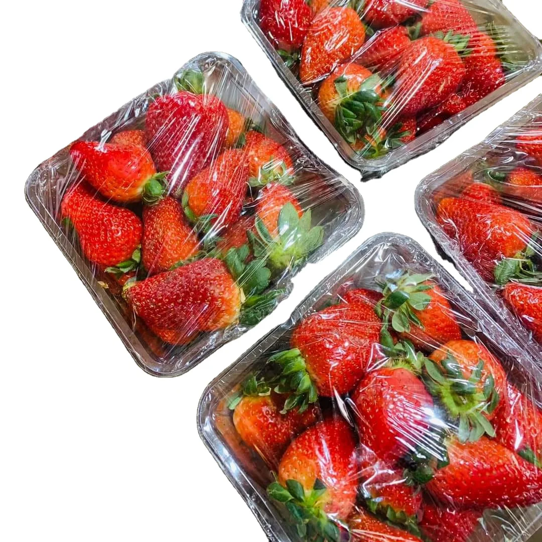 Turkish Fresh Strawberry 250 Gr Packing Strawberry Best Quality Best Price Strawberry