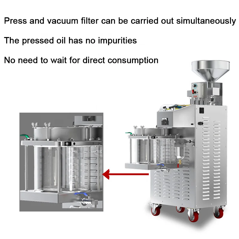 Commercial 30KG/H Peanut Sunflower Flaxseed Cold Press Oil Machine Stainless Steel Oil Press Machine With Oil Filter