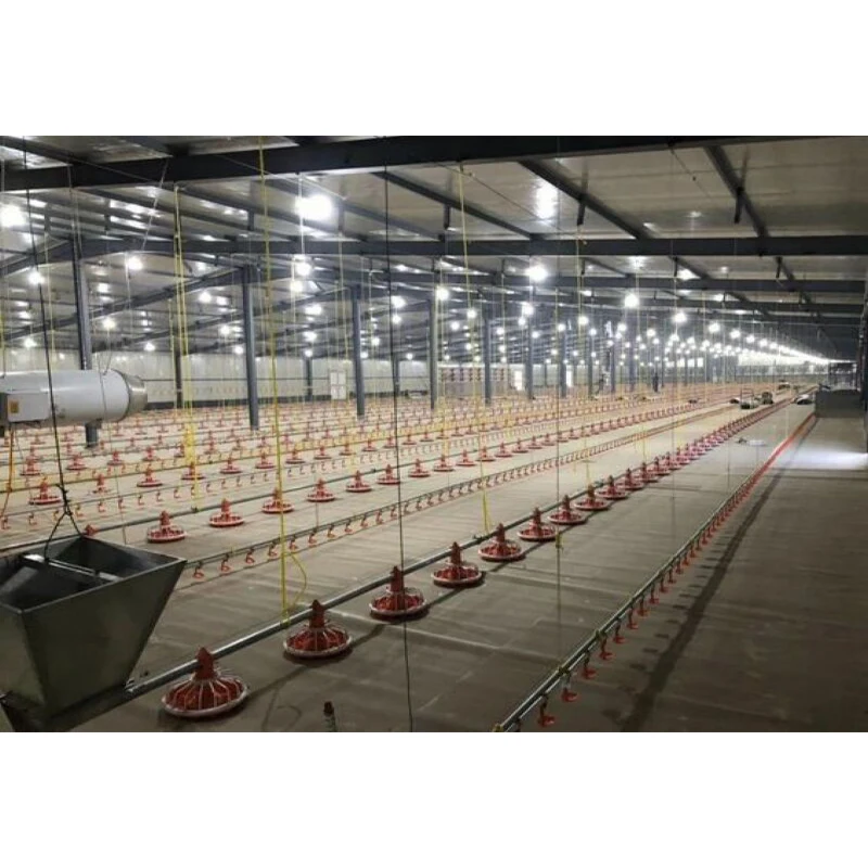 Chinese portal structures layer poultry house easy install steel poultry building