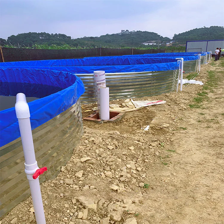 Tropical area outdoor aquaculture container Custom stackable galvanized steel fish tank for breeding Shrimp fish
