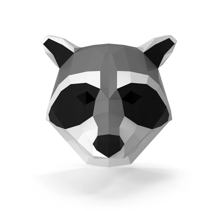 Raccoon Head Paper5.jpg