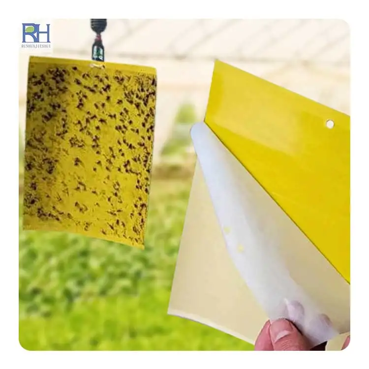 The hot-selling flying insect trap board is used for farm orchard greenhouse disease and pest control