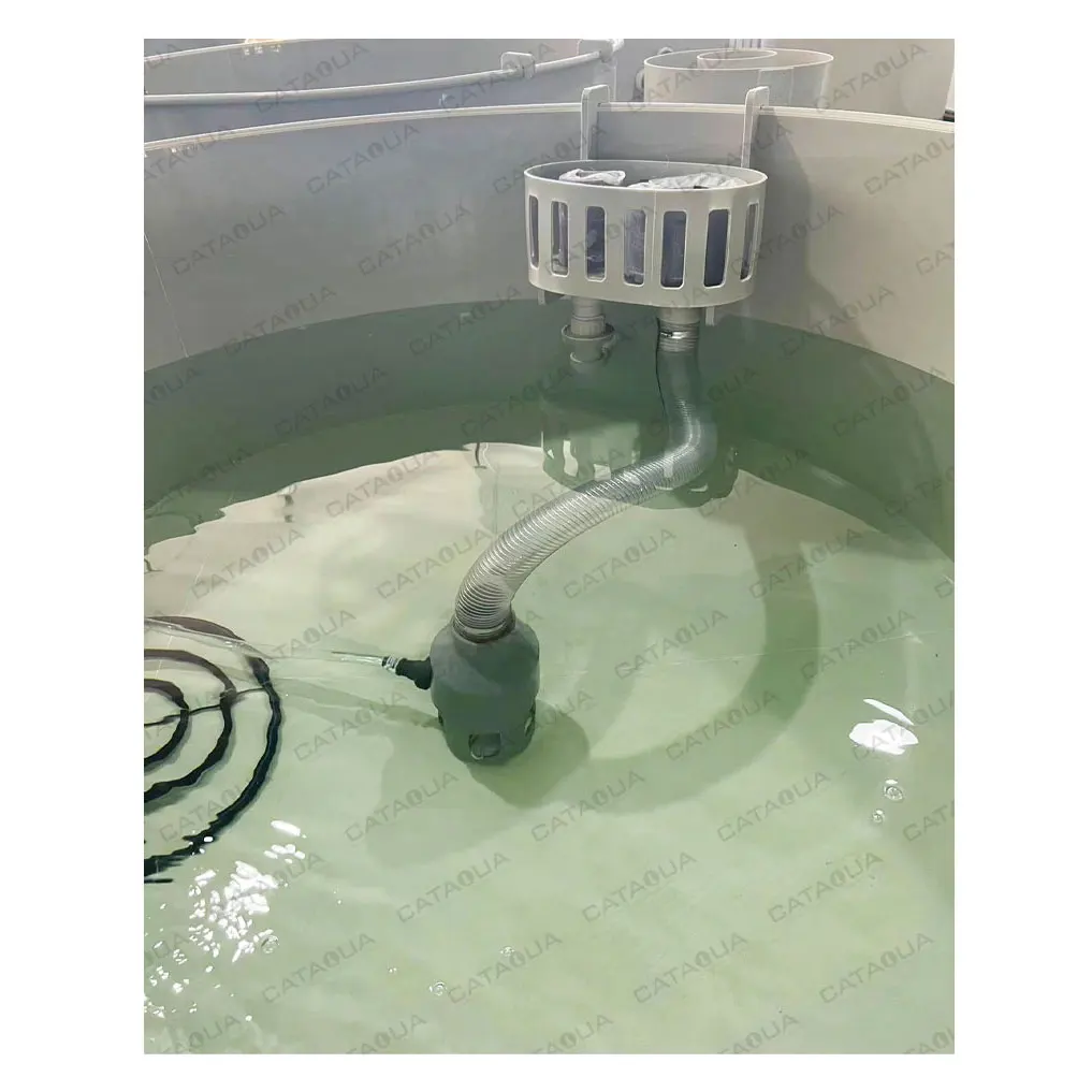 CATAQUA RAS Aquaculture Systems For Shrimp Farm Equipment Vannamei Shrimp Farming System