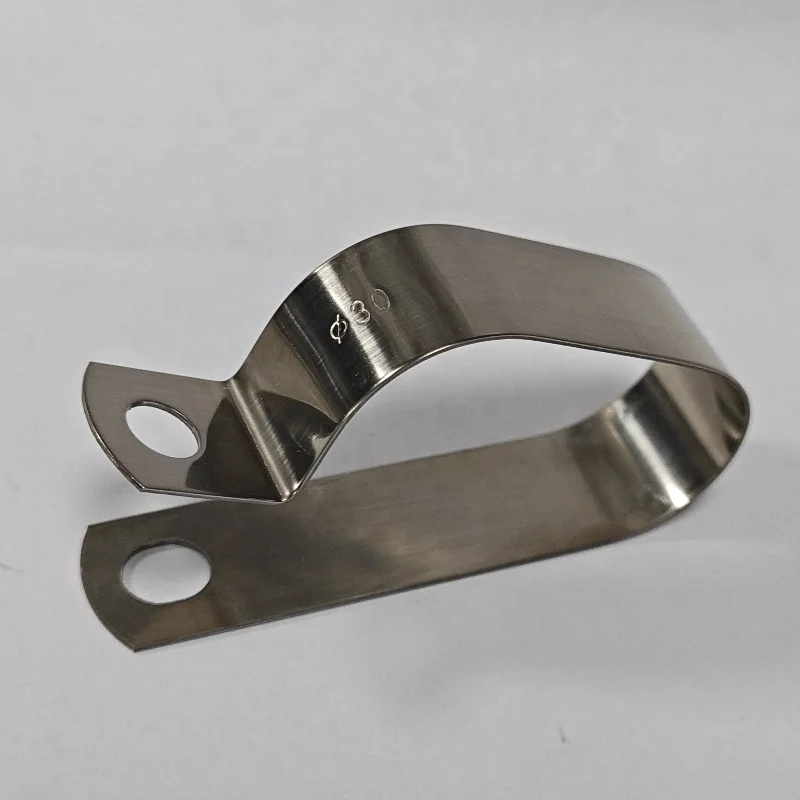 Customized Double P Type Rubber Lined Hose Clamps 304 Stainless Steel P Clamps for 2 Hoses Cables Pipes P Clip Clamp with Rubber