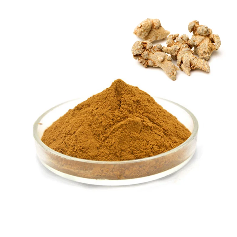 Best price Chinese angelica sinensis extract 1% Dong Quai Extract Ligustilide powder