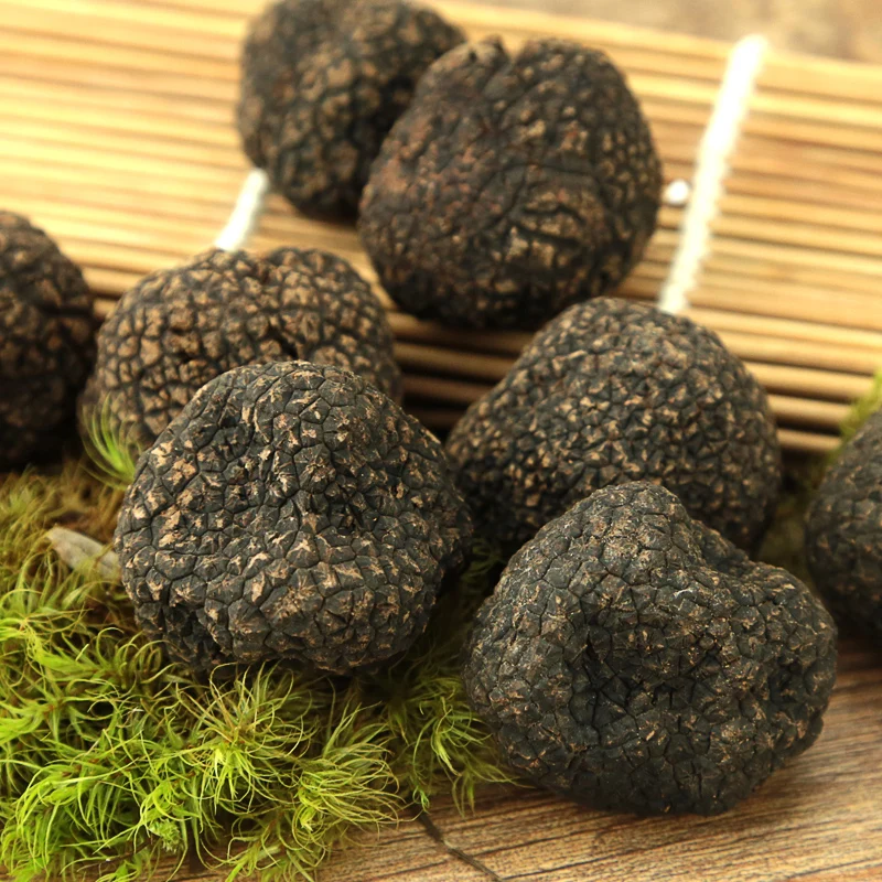 
Market price masroom fresh shitake truffle maitake grow Fungus mushroom 