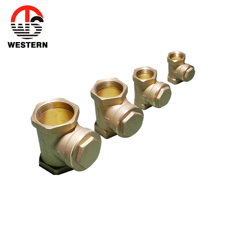 Custom any sizes sanitary fittings plumbing forging brass sandwich Horizontal Swing check valve for home price
