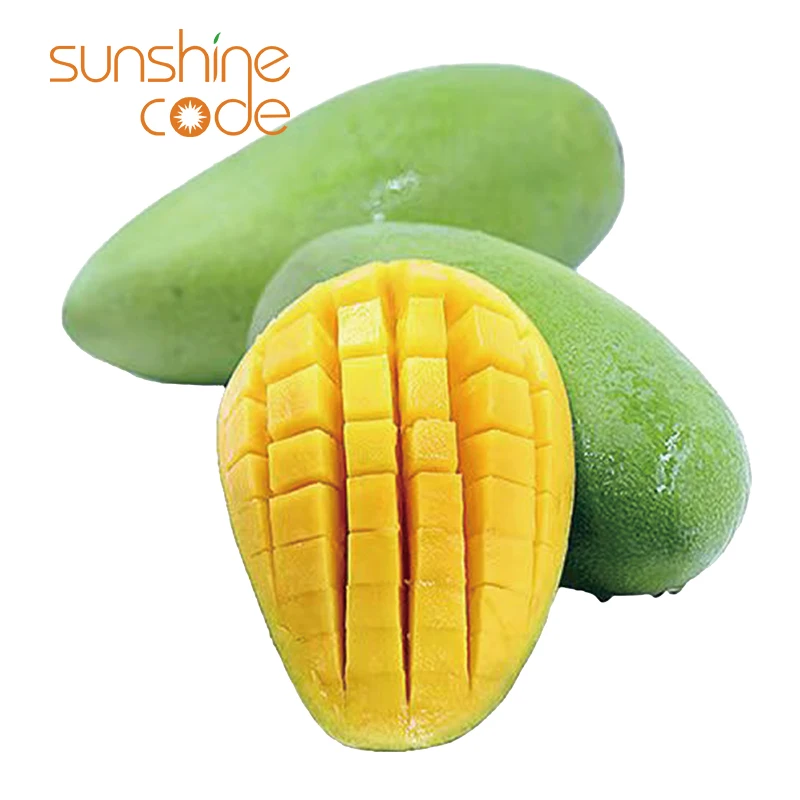 Sunshine Code fresh mango fruit mango green guangdong europe mango