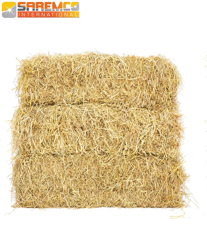 Half cut bales of chopped wheat straw for Livestock animals/Top suppliers of Wheat Straw Bales TO Kuwait, Oman, Qatar