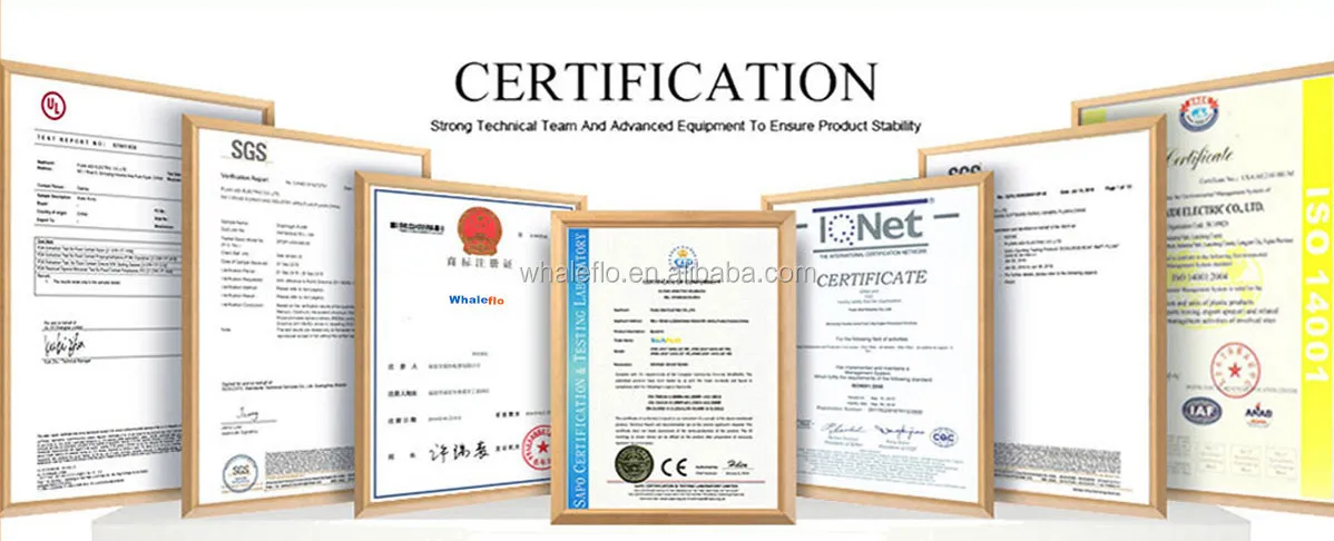 certificate.jpg