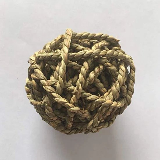 Small Animal Activity Toy Pets Play Chew Toys Bunny Rabbits Guinea Pigs chew ball