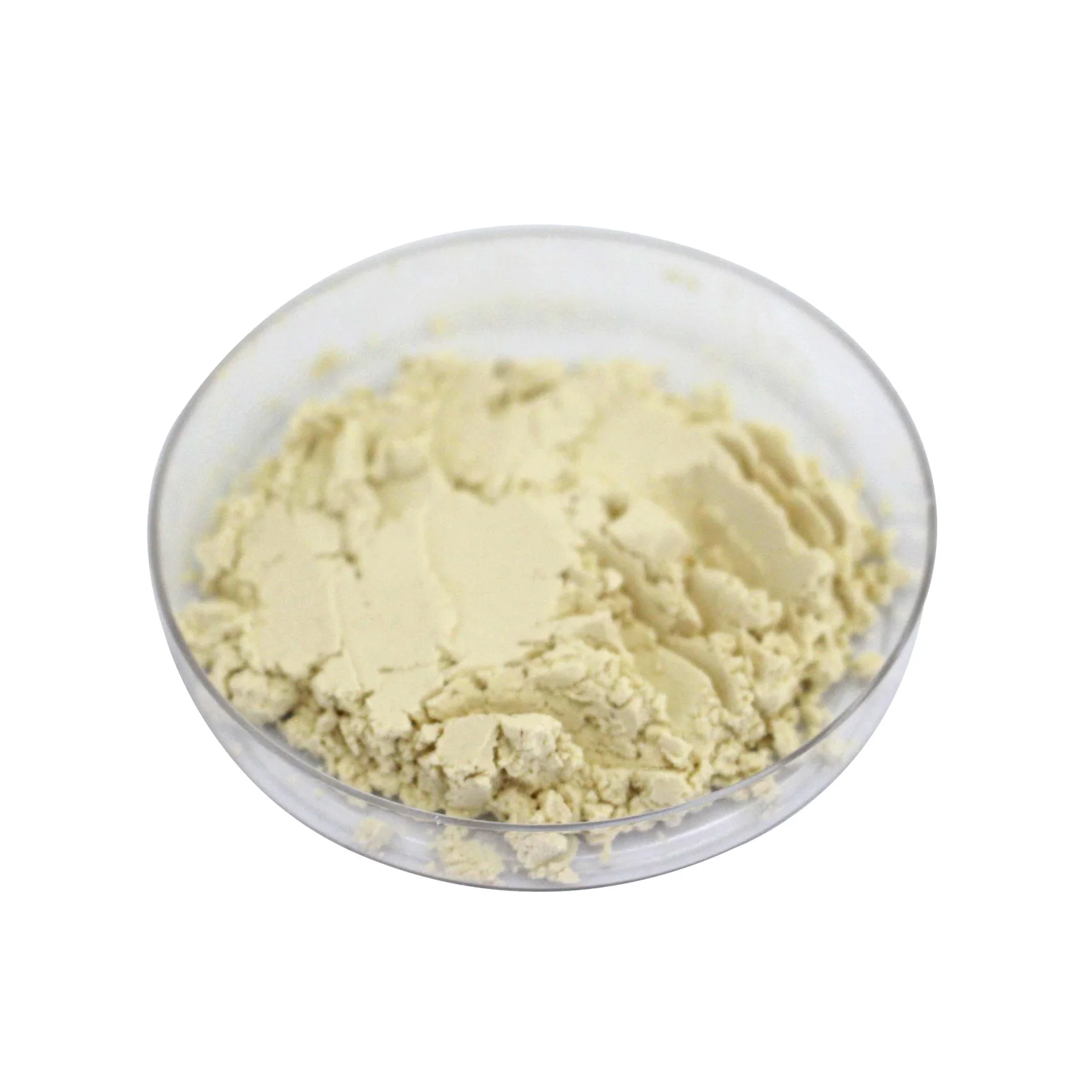 Premium Quality Lower Price Health Food MCT Powder Form Original Flavor HACCP Certified Vegan Friendly Plant Extract