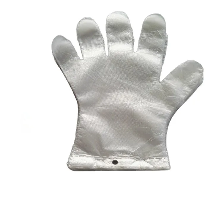 
Wholesale HDPE/LDPE/TPE/CPE disposable plastic gloves 