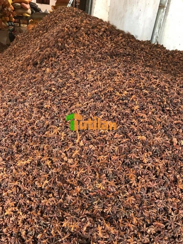 Оптовая продажа с завода самая низкая цена и лучшее качество специи приправы семена вьетнамского аниса