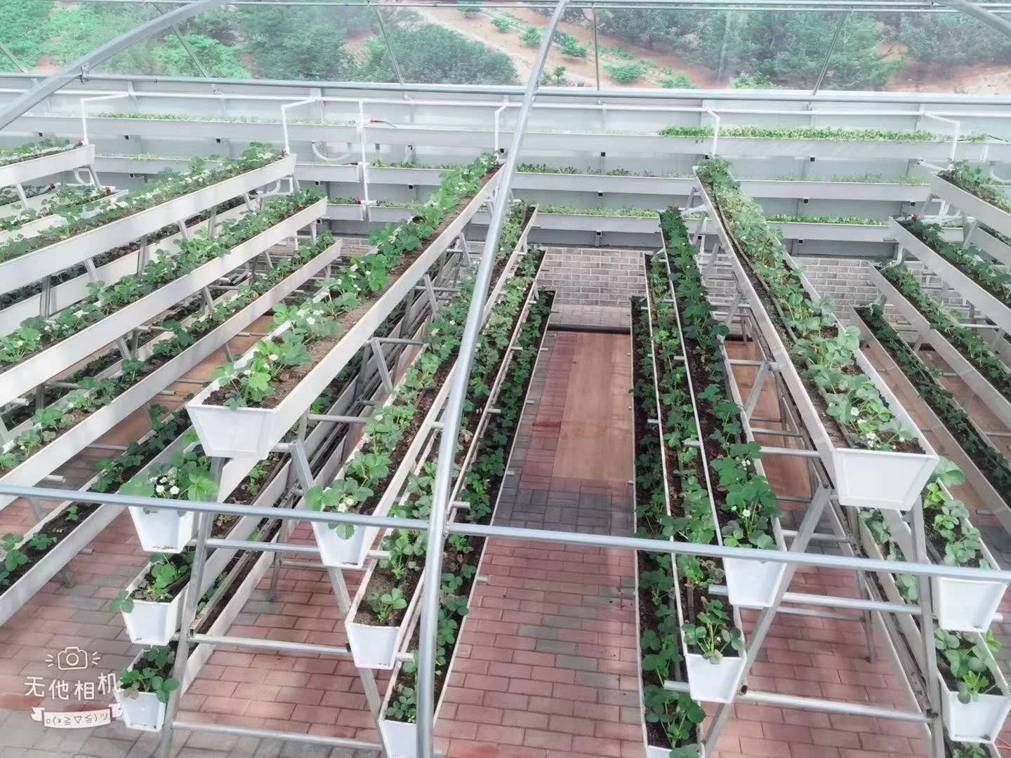 Food Grade NFT Vertical Hydroponic Gutter System Farming for Strawberry Tomato Substrate Trough Plants Greenhouse Tower