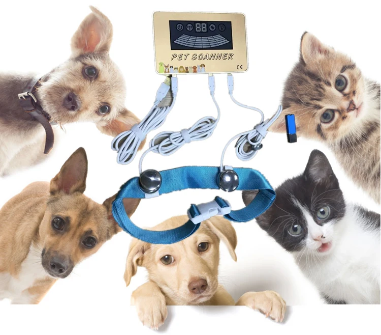 Latest 3d scanner pet analyzer magnetic quantum scanner for cats and dogs