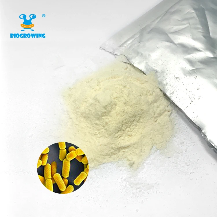 
 Пробиотики добавляют молочную кислоту, бактерии, пробиотики, добавки Lactobacillus rhamnosus  