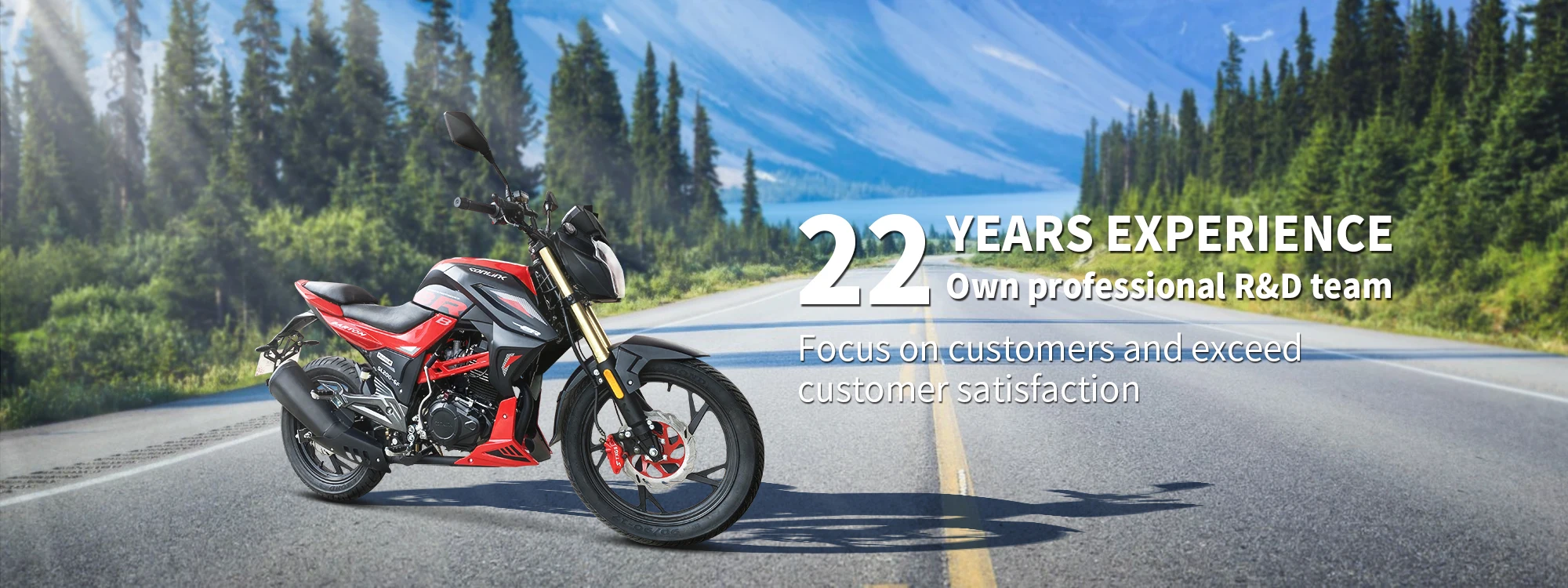 All Terrain Vehicle Off-road Dirt 12kw 300CC Atv Quad Bike for sale