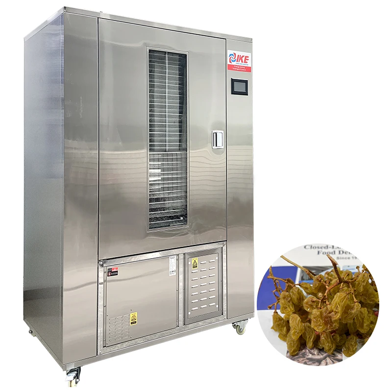 Industrial dehydrating machine grape drying machine dragon fruit dryer