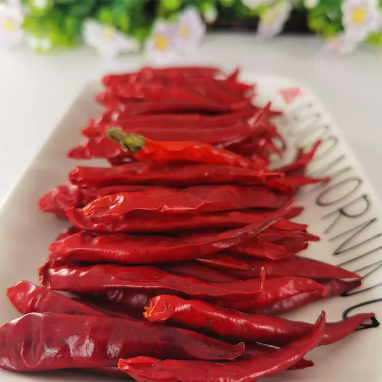 China Customized Price Wholesale Factory Dried Anise Seeds Whole Star Anise Spice Seeds dry red pepper