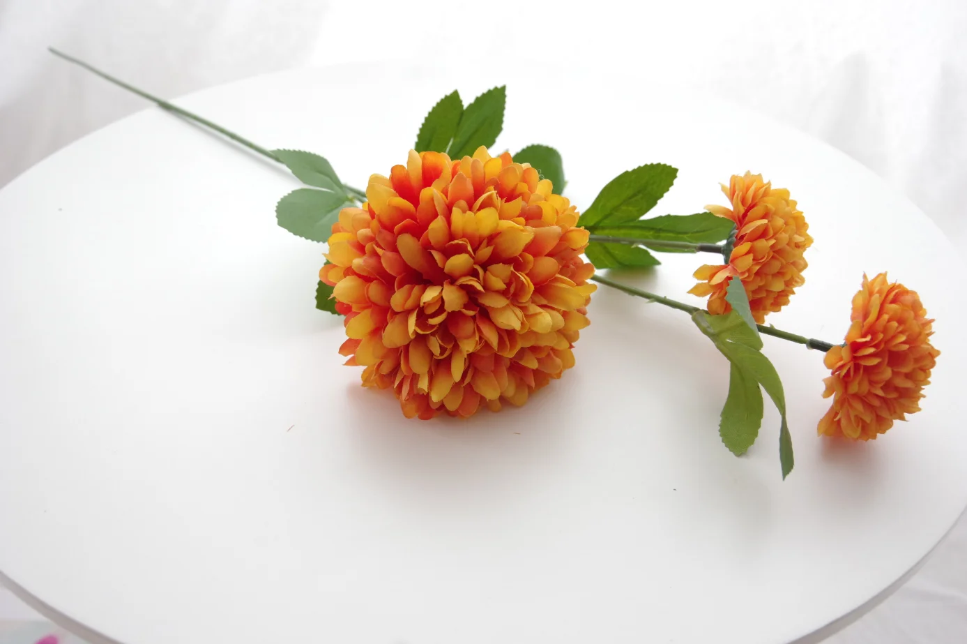 Wholesale Phalaenopsis Home Wedding Decoration 3D Print Butterfly Orchid Flower Real Touch Latex Artificial Orchid For Sale