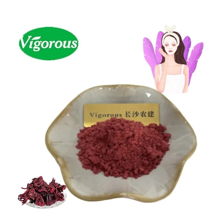 Hibiscus For Beauty Hibiscus sabdariffa L. High Quality Hibiscus Flower Extract
