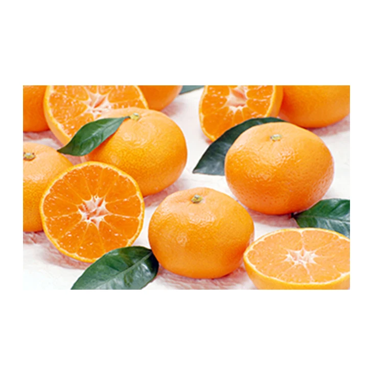 Japanese wholesale bulk export decorative fruit with good quality