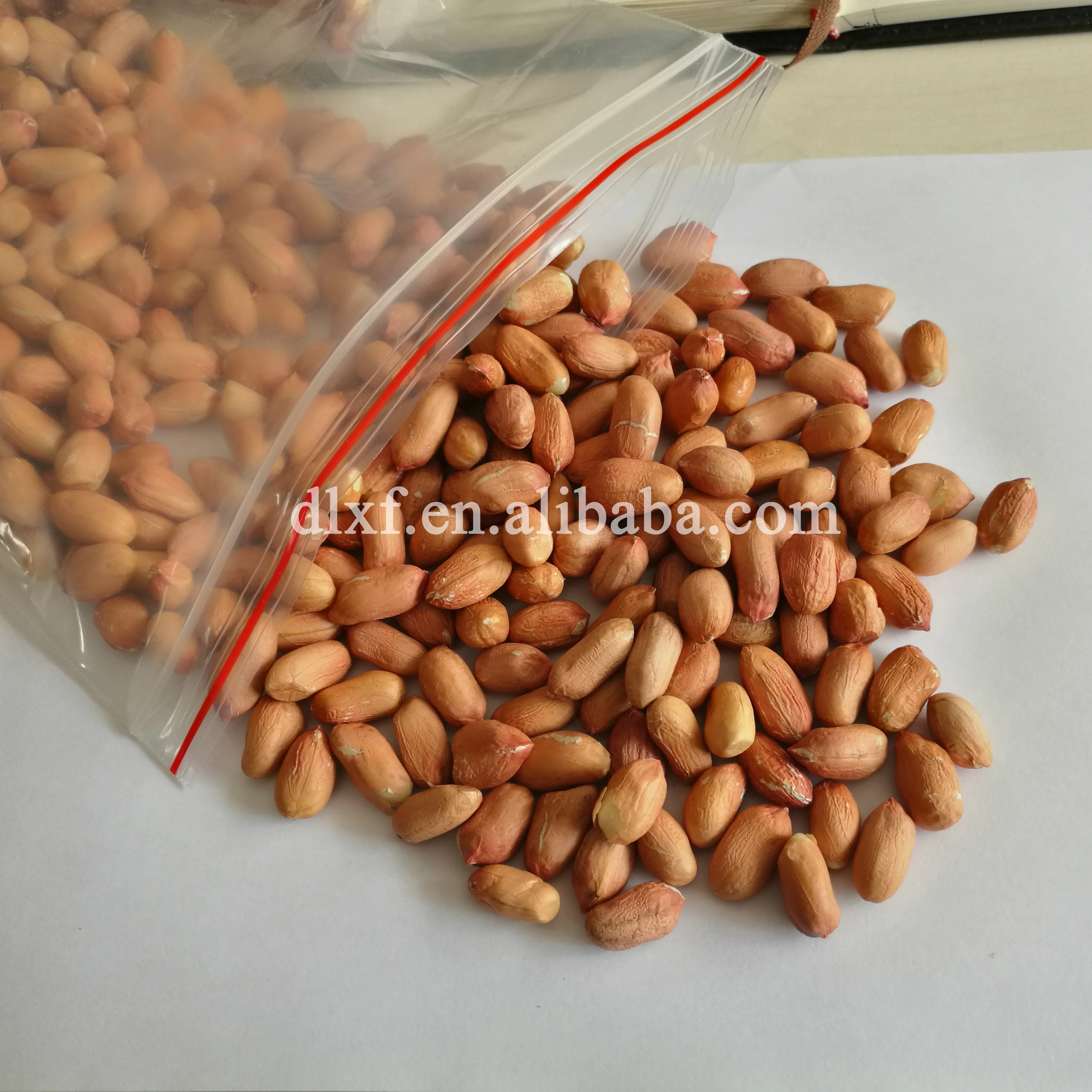 Good quality Raw Peanuts Kernel healthy food