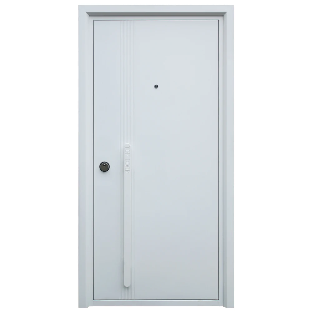 Customized Modern Exterior Metal panel Doors Simple Security Front Entry Steel China Main Door for Home Houses Inside