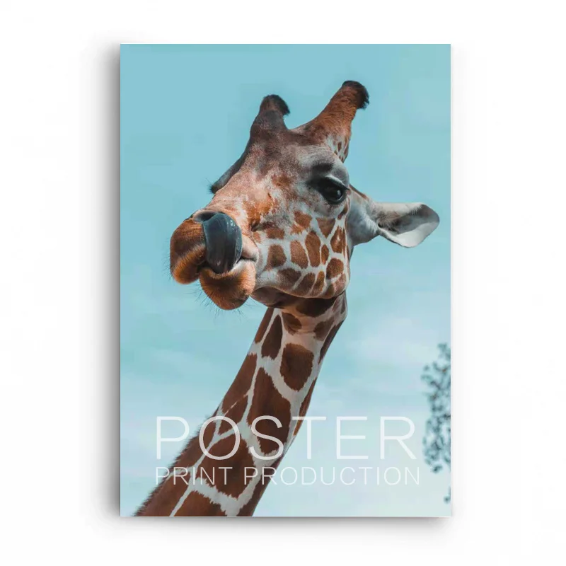 Professional Factory Hard Cover Foldout Menu Brochure Invitation Hard Shell Folding Printing Services