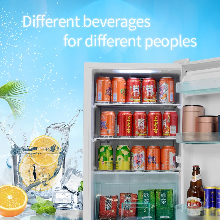 Mini Fridge Portable Compact Refrigerator Electric Cooler and Warmer 46L 6 Can for Car Boat Self-driving Camping Outdoor