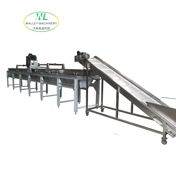 Hotsell Full Automatic Prune Raisin Washing and Drying Machine Plum Process Line Dried Mulberry Moisture Increasing Polishing